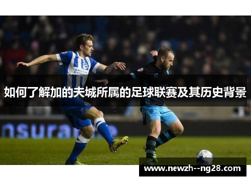 如何了解加的夫城所属的足球联赛及其历史背景