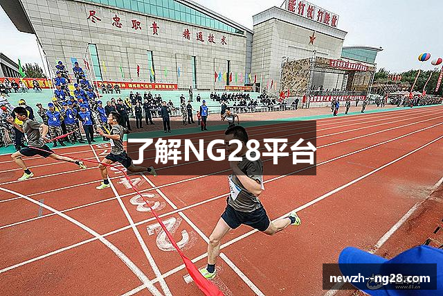了解NG28平台